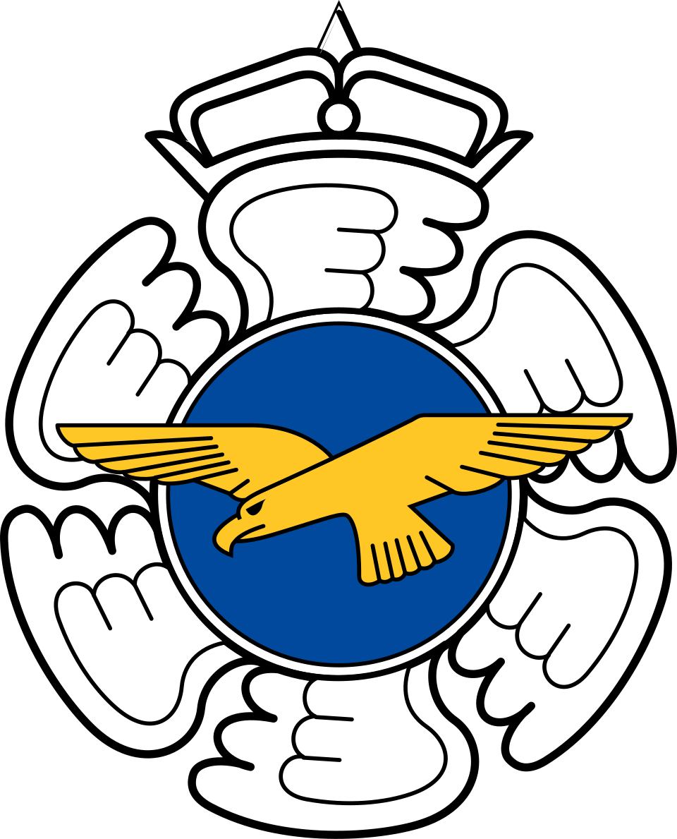 FINNISH AIR FORCE